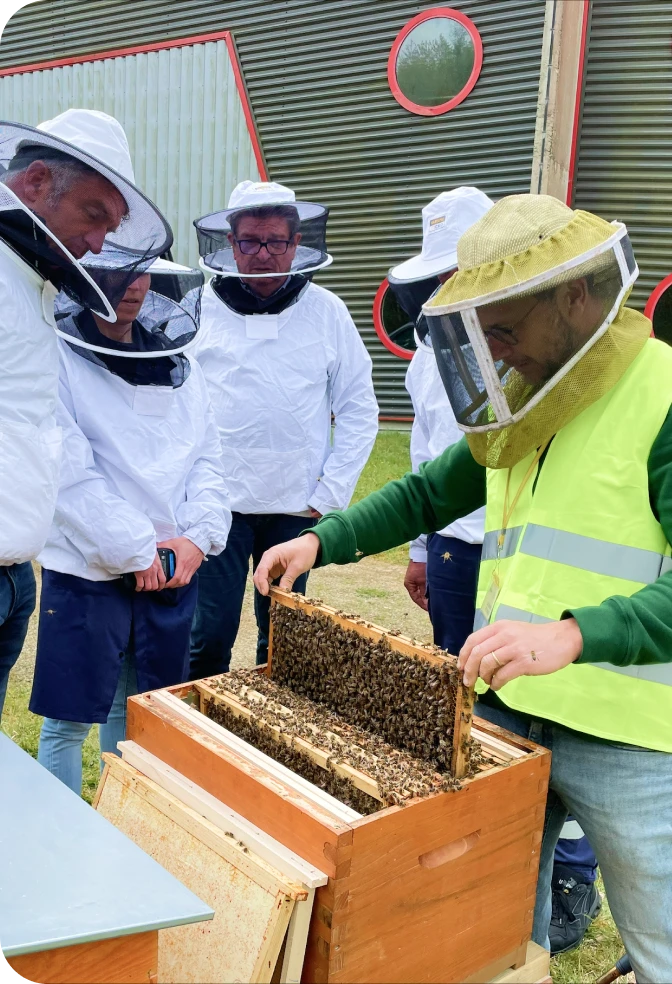 Group of people around a beehive