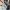 McBride-divisions-news-August-2025